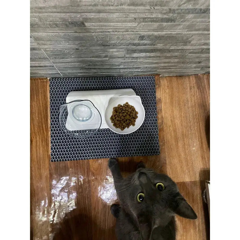 Raised Stand Double Bowls Pet Feeder For Cats And Dogs