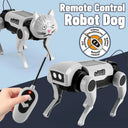 RC Robot Dog Toy for Kids DIY STEM Kit