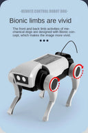 RC Robot Dog Toy for Kids DIY STEM Kit