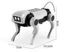 RC Robot Dog Toy for Kids DIY STEM Kit