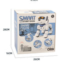 Rc Robot Dog For Preschoolers Playtime