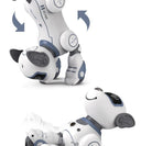 Rc Robot Dog For Preschoolers Playtime