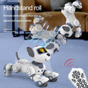 Rc Robot Dog For Preschoolers Playtime