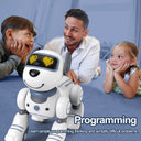 Rc Robot Dog For Preschoolers Playtime
