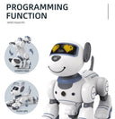 Rc Robot Dog For Preschoolers Playtime