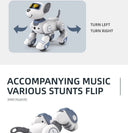 Rc Robot Dog For Preschoolers Playtime