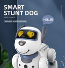 Rc Robot Dog For Preschoolers Playtime