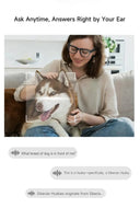 Real-Time Translation Glasses for Travel