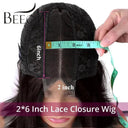 Realistic HD Lace Closure Wig for Women