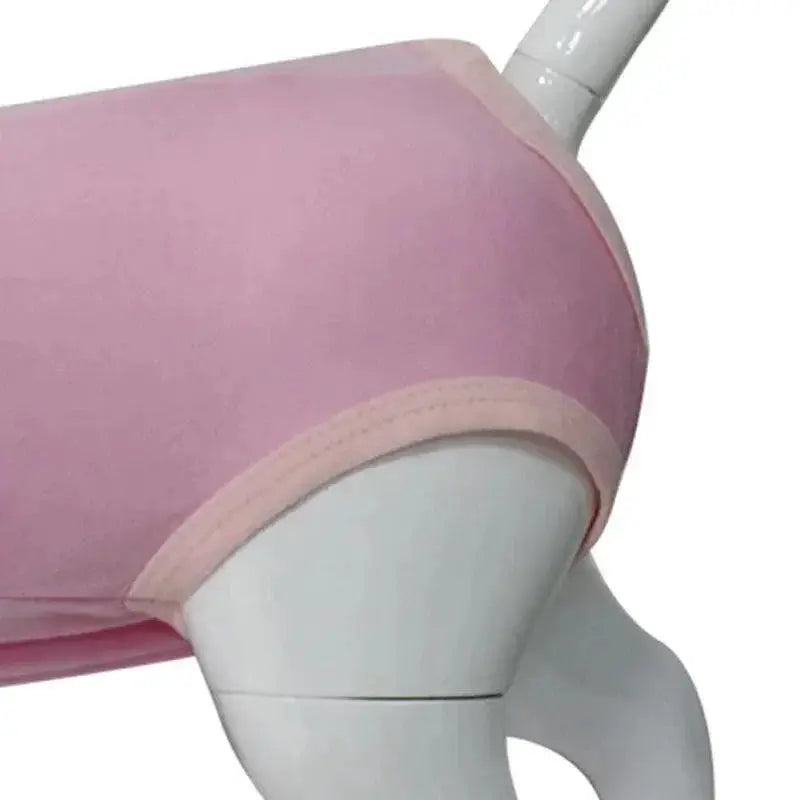Recovery Suit for Cats Post Surgery Comfort and Safety