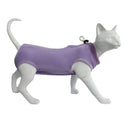 Recovery Suit for Cats: Post-Surgery Comfort and Safety