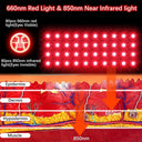 Red Light Hand Glove For Pain Relief