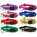 Reflective Cat Collar with Breakaway Safety Clasp & Bell