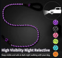 Reflective Nylon Leash for Night Walks