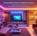 RGBIC LED Strip Light for Theater