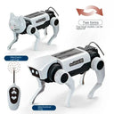 Stem RC Dog Kit for Kids Eight and Up