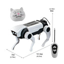 Stem RC Dog Kit for Kids Eight and Up