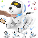 RC Robot Dog for Kids Language Learning
