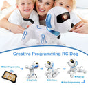 RC Robot Dog for Kids Language Learning