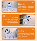 RC Robot Dog for Kids Language Learning