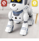 Robot Dog for Kids Music and Learning