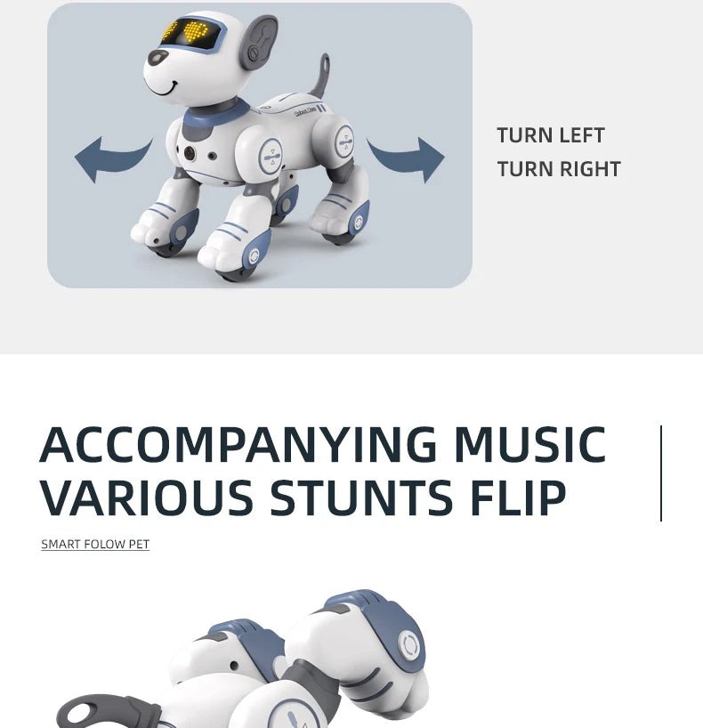 Robot Dog for Kids Music and Learning — product view 19