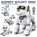 Robot Dog for Kids Music and Learning