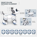 Robot Dog for Kids Music and Learning