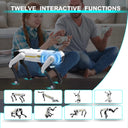 Robot Dog for Teens Hands On Robotics