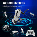 Robot Dog for Teens Hands On Robotics