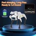 Robot Dog for Teens Hands On Robotics