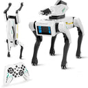 Robot Dog for Teens Hands On Robotics