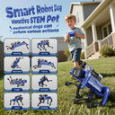 Robot Dog for Teens Hands On Robotics