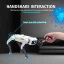 Robot Dog for Teens Hands On Robotics