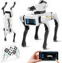 Robot Dog for Teens Hands On Robotics