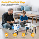 Robot Dog for Teens Hands On Robotics