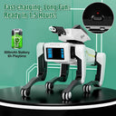 Robot Dog for Teens Hands On Robotics