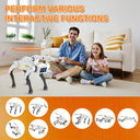 Robot Dog for Teens Hands On Robotics
