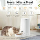 Smart WiFi Automatic Cat Feeder With Schedule Feed