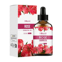 Rose Oil for Facial Care Hydration Now