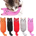 Dental Health Cat Chew Toy for Kittens