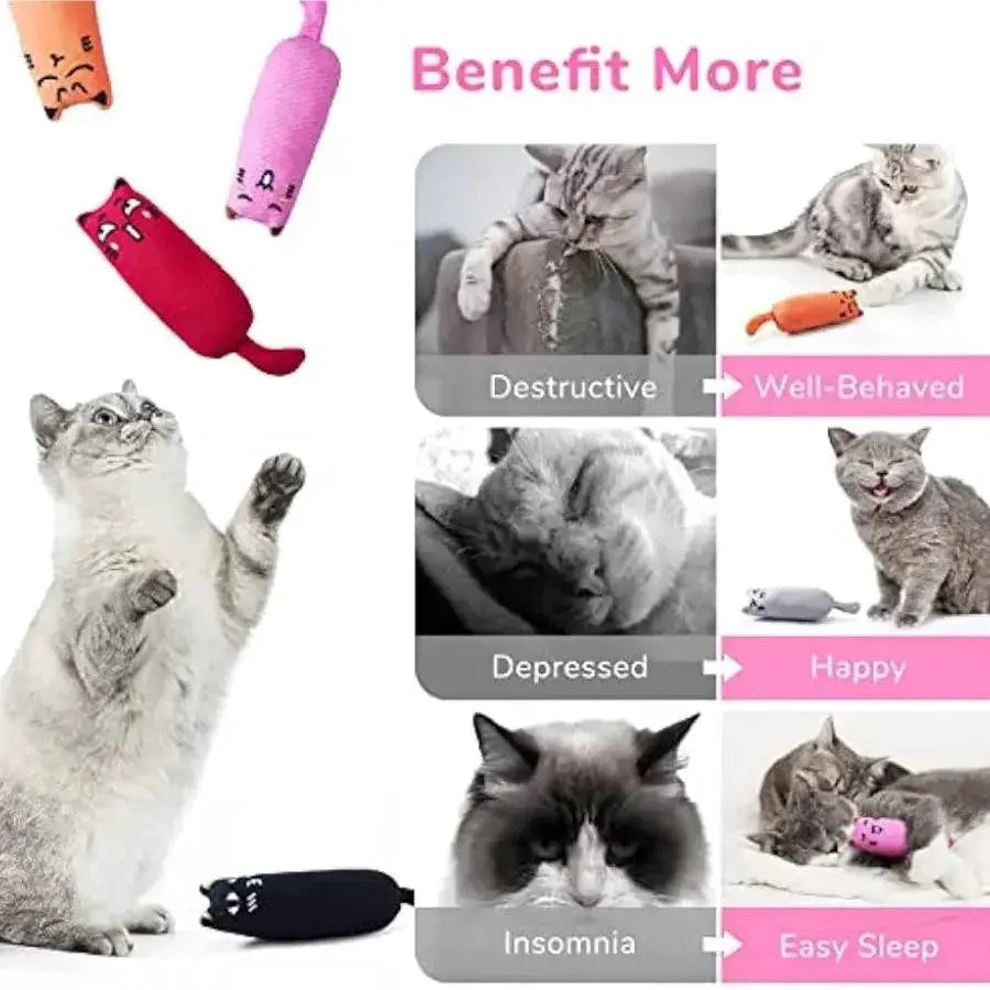 Rustle Sound Catnip Kitten Toy Teeth Grinding Plush Pillow