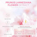 Sakura Skincare Set for Women Daily Glow