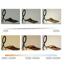 Versatile Mini LED Ring Light Kit for Stunning Videos