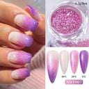 Mirror Chrome Nail Art Kit for DIY Nails