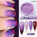 Mirror Chrome Nail Art Kit for DIY Nails