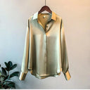 Silk Vintage Blouse Sophisticated Sheer Top for Women
