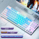 SKYLION H87 Mechanical Keyboard Vibrant Backlight Gaming