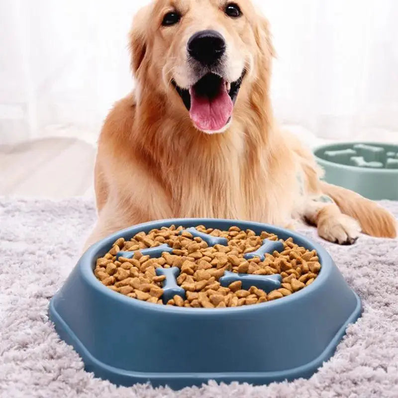 Slow Feeder Dog Bowl: Pet Anti - Choking Plate for Safe Eating