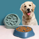 Slow Feeder Dog Bowl For Safe Eating